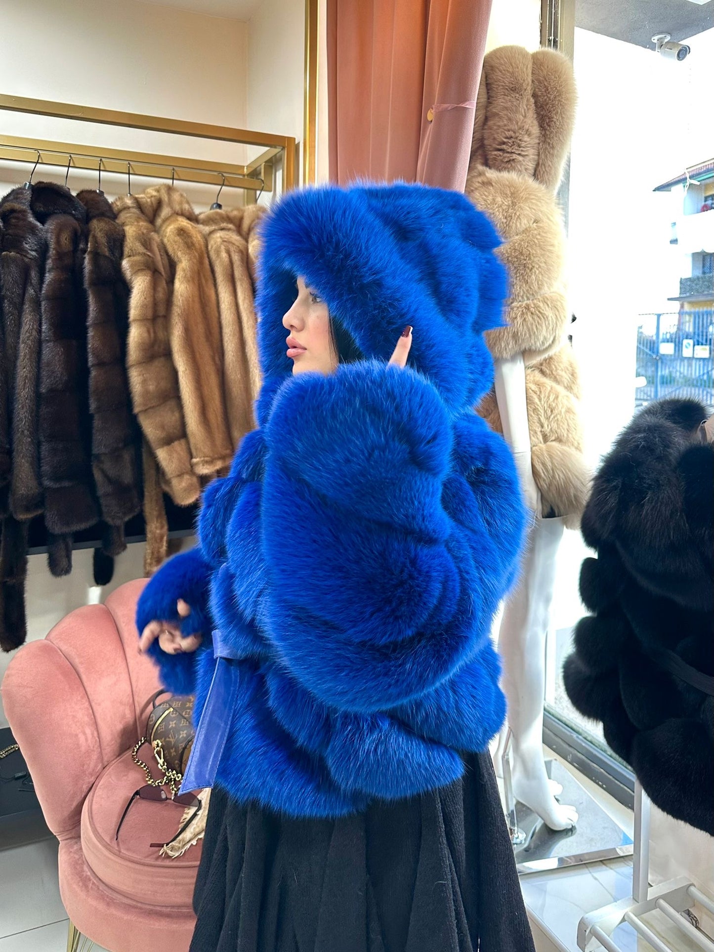 Volpe BLU💙