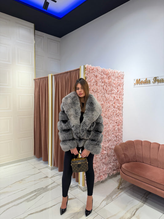 Volpe collo sciallato